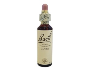 BACH CENTER ESS GORSE 20ML