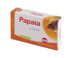 PAPAIA ESTR SEC 60CPR 24G KOS