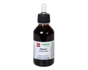 SEGALE 100ML MG FTM