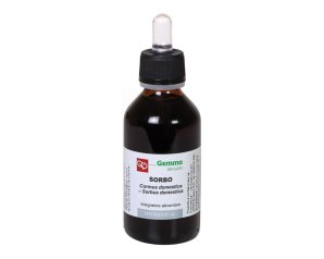 SORBO 100ML MG FTM<