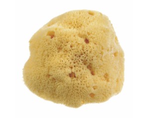 BEAUTYTIME SPUG NAT DAMA M