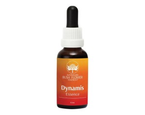 DYNAMIS Spy Ess.30ml NATUR