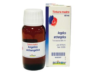 ANGELICA ARCANGELICA 60ML TM