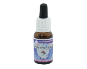 ECSTASY ESSENZA 15ML