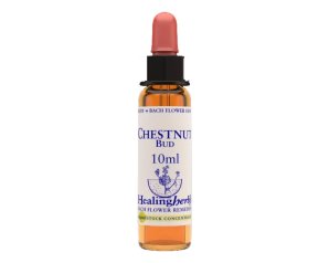CHESTNUT BUD ESS 10ML INGL HER