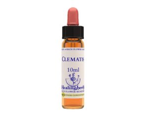 CLEMATIS ESS 10ML INGL HERBS