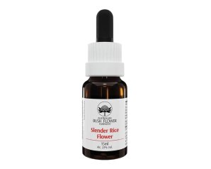 BLUE CHINA ORCHID 15ML AUST