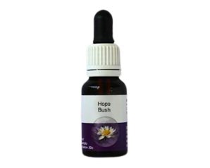 HOPS BUSH ESS 15ML AUST