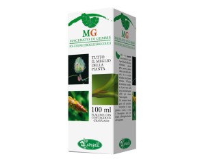 FICO 100ML MG