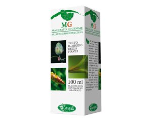 VITE 100ML MG