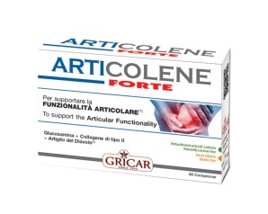 ARTICOLENE FORTE 60TAV