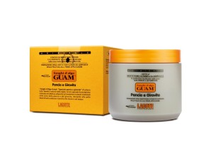 Guam Fanghi d'Alga Pancia e Girovita 500 g