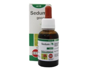 SEDUM GTT 30 ML KOS