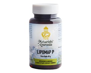 LIPOMAP P 120CPR 60G