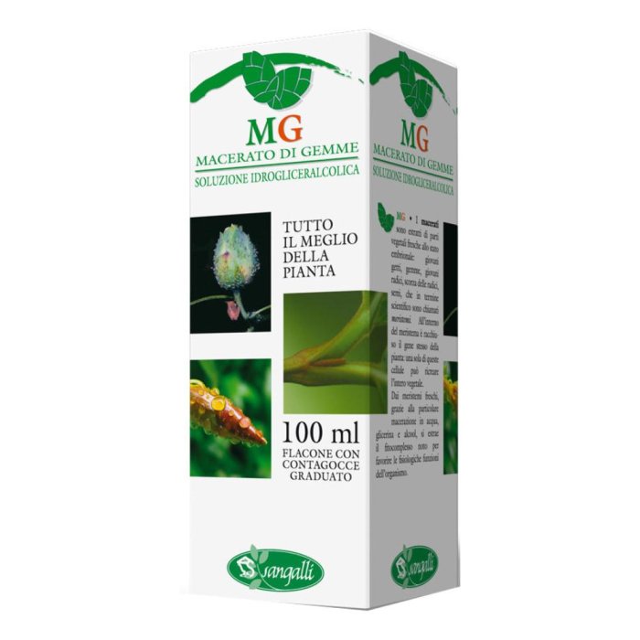 Betulla 100 ml Estratto Naturale Drenante Anticellulite per Combattere la Cellulite