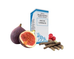 FICUS 50ml Gtt LINDA'S