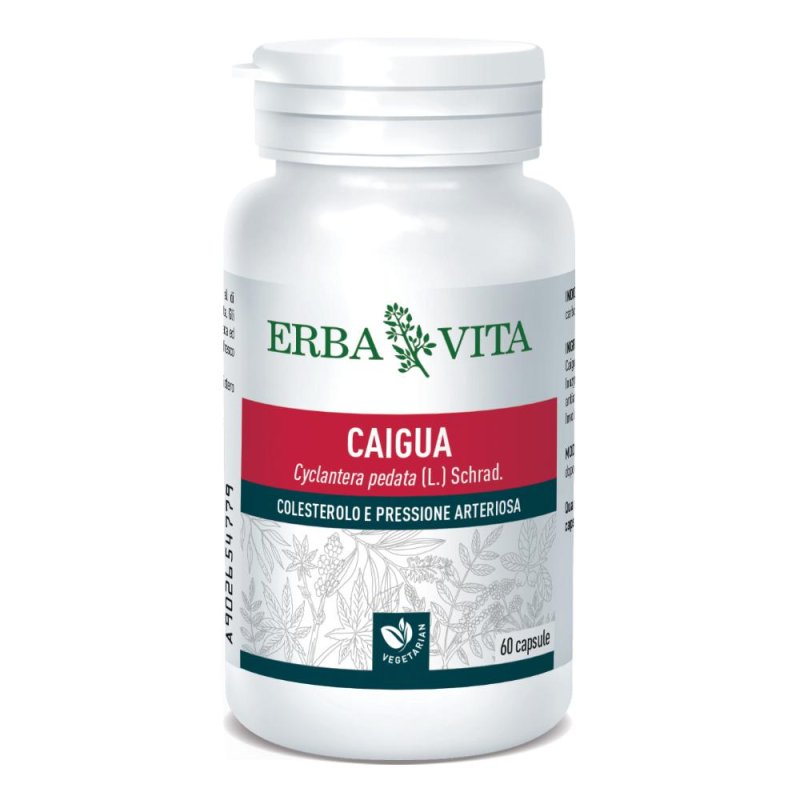 Erba Vita Caigua Integratore Alimentare 60 Capsule Erba Vita Caigua Integratore Alimentare 60 Capsule