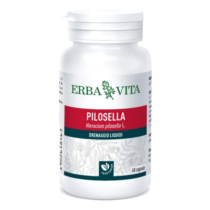 Erba Vita Pilosella Integratore Alimentare 60 Capsule