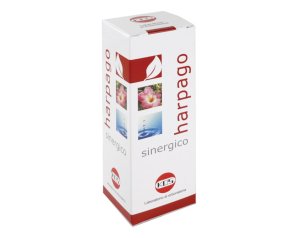 HARPAGO SINERGICO GTT 100ML KOS