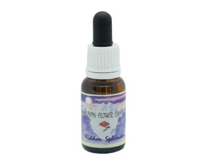 PURIFICATION SPRAY 60ML