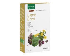 LIGNE DREN 15ML