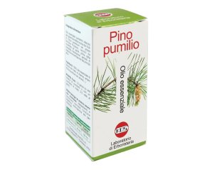 Pino Pumilio olio essenziale 20 ml - olio essenziale balsamico per diffusori e massaggi