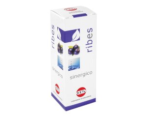 RIBES SINERGICO 100ml KOS