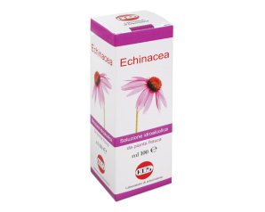 Echinacea soluzione  pianta fresca 100 ml - integratore con echinacea