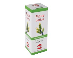 FICUS CARICA MG 100ML GTT