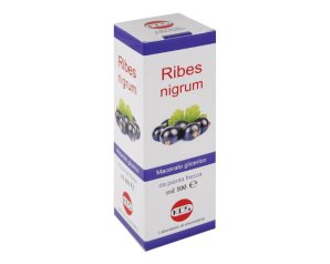 Ribes nigrum macerato glicerico 100 ml gocce