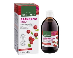 MIRTILLO RO CONC 490ML