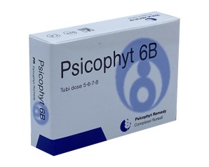 Biogroup Psicophyt Remedy 6b 4 Tubi 1,2 G