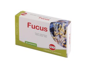 FUCUS ESTR SEC 60CPR