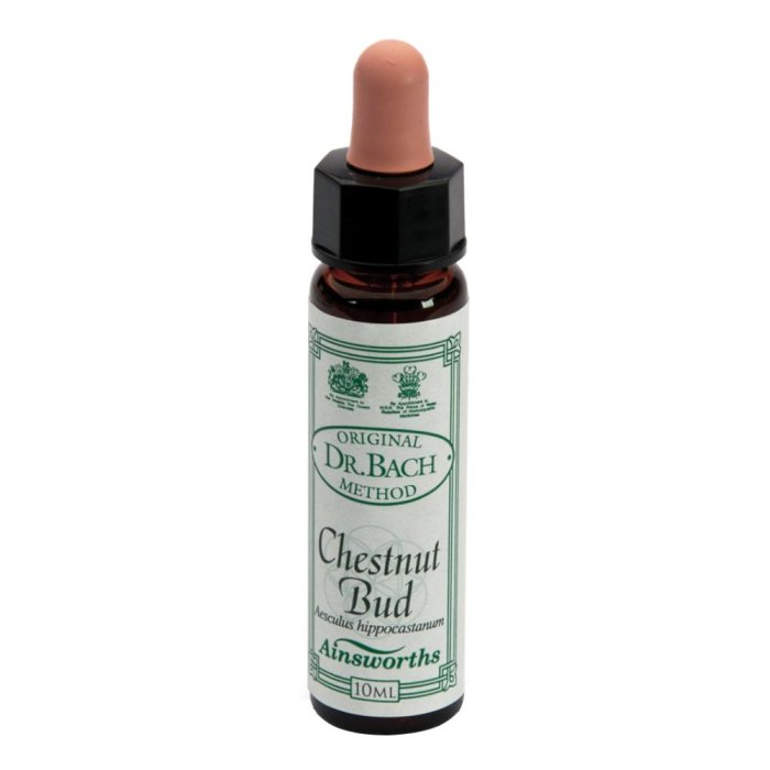 AINSWORTHS CHESTNUT BUD 10ML