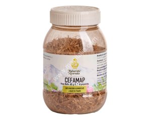 Map Italia Cefamap Polvere 60 G