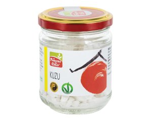 KUZU MORINO 70G