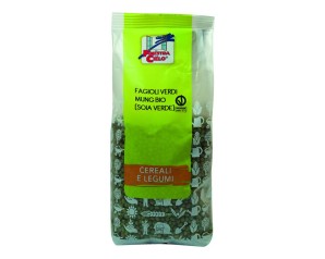 FAGIOLI VERDI MUG BIO 500G