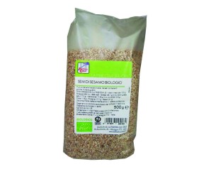SESAMO BIO 500G
