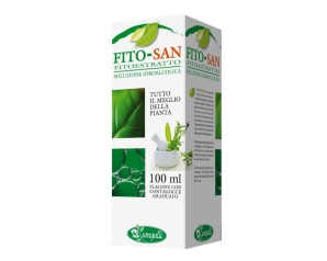 EQUISETO FRONDE STE 100ML TM