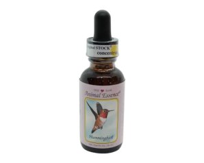 COLIBRI HUMMINGBIRD ESS 30ML