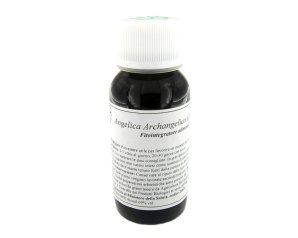 LVS 06N Angelica Arch.Comp.