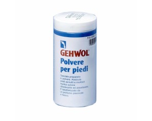 Dual Sanitaly Gehwol Polvere Per Piedi 100 G