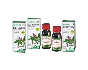 GEMMOSOL 48 MIRTILLO RO 50ML