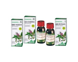 Specchiasol Gemmosol 13 Betulla Linfa 50 ml