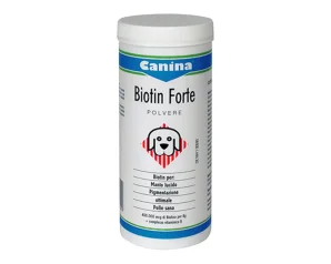 BIOTIN FORTE POLV 200G