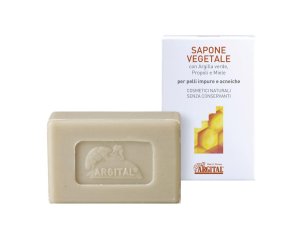 SAPONE VEG ARGILLA VE/PROP/MIE