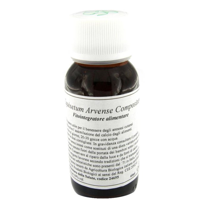LVS 41N Equisetum Arv.Comp. LVS 41N Equisetum Arv.Comp.