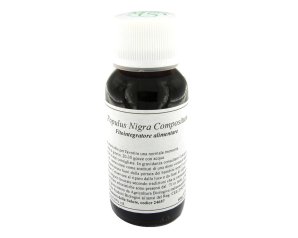 LVS 43N Populus Nigra Comp.