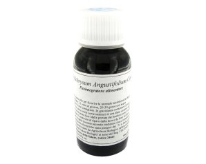 47C HELICHRYSUM ANGUSTIF COMP