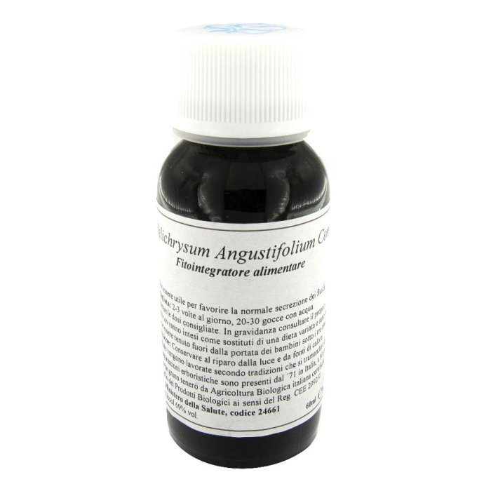 47C HELICHRYSUM ANGUSTIF COMP 47C HELICHRYSUM ANGUSTIF COMP